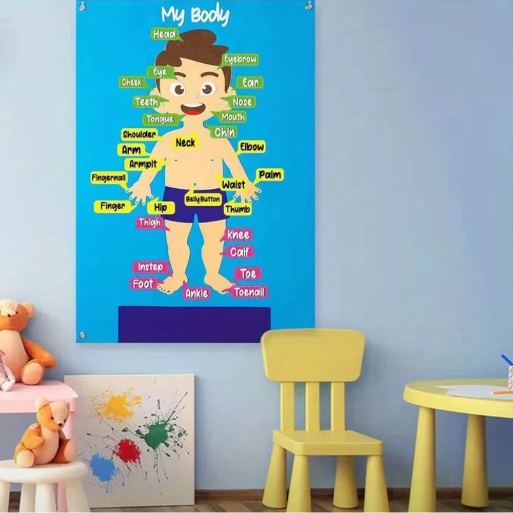 Montessori body parts learning educational toy